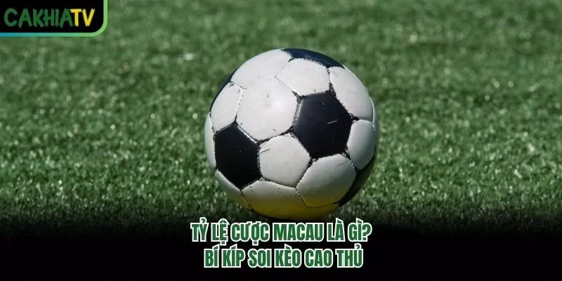 Tỷ Lệ Cược Macau Là Gì? Bí Kíp Soi Kèo Cao Thủ 2026
